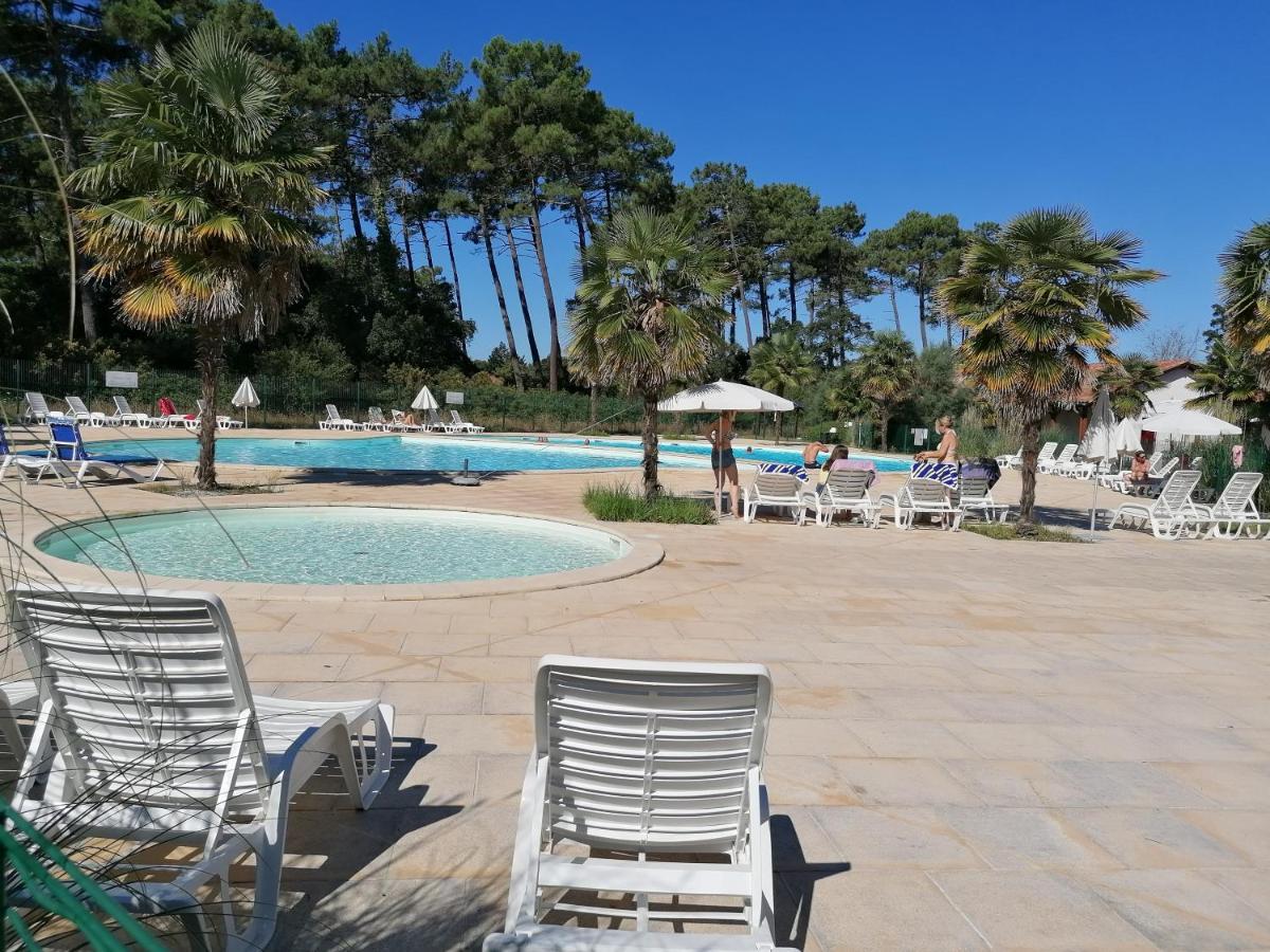 Chalet T3 Nature Piscine Tennis Ondres Extérieur photo