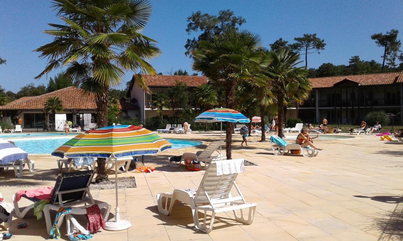 Chalet T3 Nature Piscine Tennis Ondres Extérieur photo