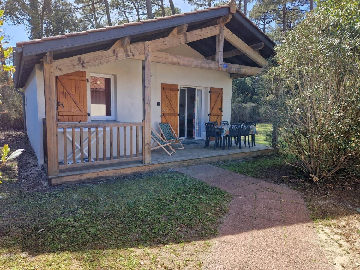 Chalet T3 Nature Piscine Tennis Ondres Extérieur photo